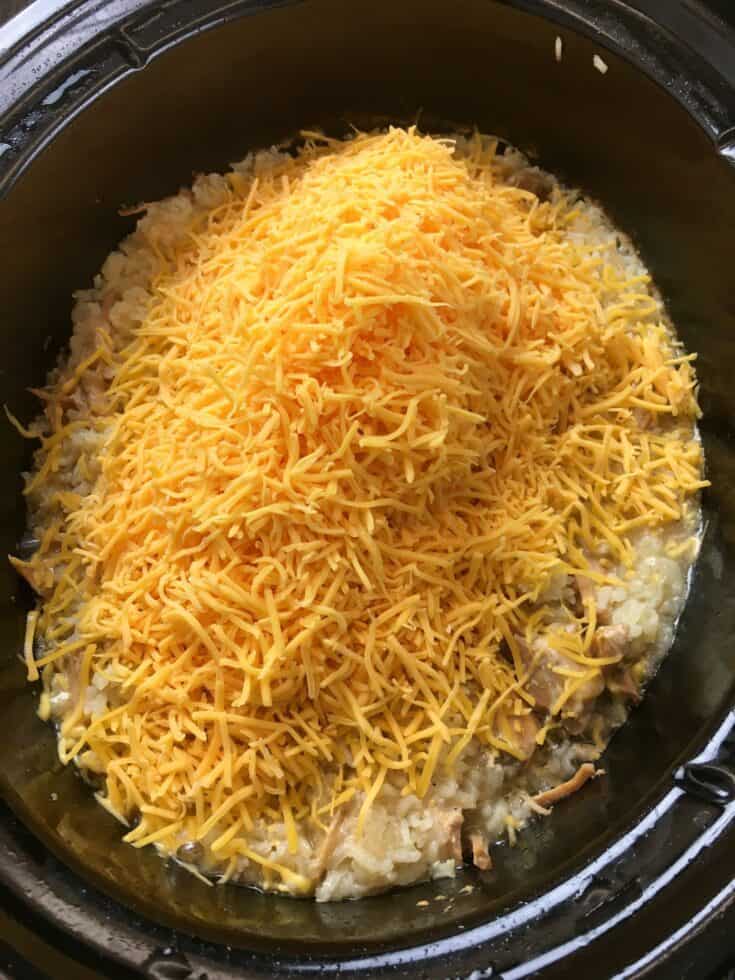 Shredded cheese on top of cooked rice and pork chops in a slow cooker