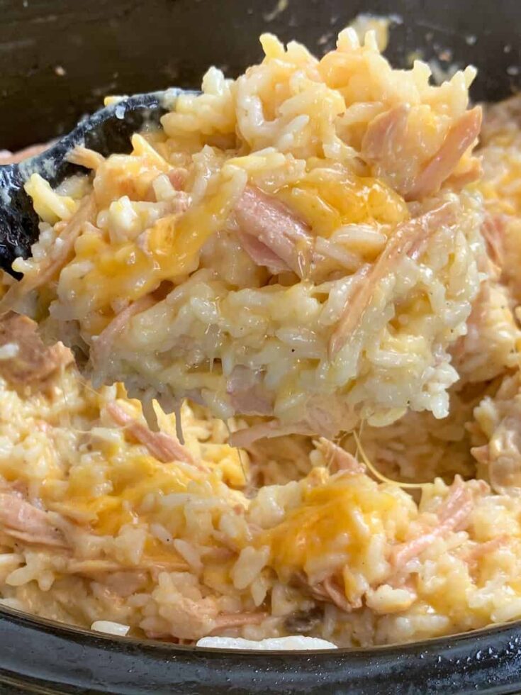 Cheese, rice, and pork chops on a spoon in the slow cooker