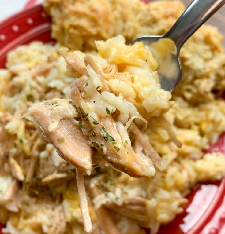 Pork chops with rice and cheese on a fork